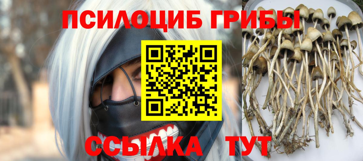 Вязники  Галлюциногенные грибы Magic Shrooms  Вход с VPN 